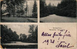 1919 Wilczyce, Wildschütz (Schles.); Parkpartie Marienteich / park, lake (EB)