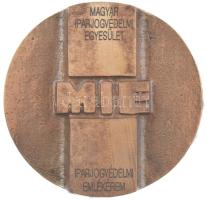 2002. Kiváló egyesületi munkásságért - Dr. Somfai Éva / Magyar Iparjogvédelmi Egyesület - Iparjogvédelmi emlékérem rátétes, öntött bronz emlékérem dísztokban (60mm) T:1
