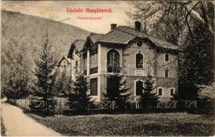 1911 Menyháza, Monyásza, Moneasa; Mayer nyaraló. Patkó Vilmos amateur felvétele / villa (fa)