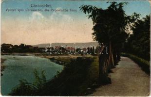 1928 Karánsebes, Caransebes; Vedere spre Caransebes din Promenada Teus / sétány / promenade (Rb)