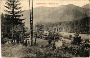 1916 Tusnádfürdő, Baile Tusnad; Sólyom-kő / Piatra Soimilor / mountain (EK)