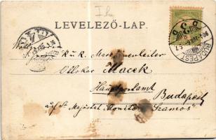 1904 Budapest I. Tabán, körmenet, gyerekek zászlókkal. photo (fl)