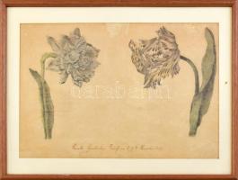 Jelzés nélkül: Virágok, 1829. Akvarell, grafit, papír. Üvegezett fakeretben. 23,5×25 cm