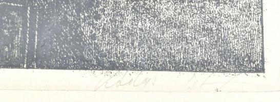 Kádas István (1941-): Lánchíd. Rézkarc, papír, jelzett, számozott (78/100). Üvegezett fakeretben, 24...