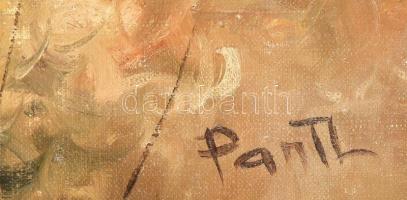 Pántl László (1943-): Őszi erdő. Olaj, vászon, jelzett. Dekoratív fakeretben, 60x80 cm