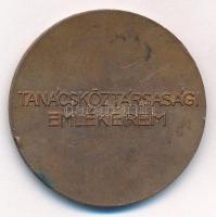 1969. Tanácsköztársasági Emlékérem kétoldalas bronz emlékérem (38mm) T:2 patina, ph
