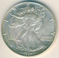 USA 1987. 1$ Ag "Liberty" 1oz. T:1