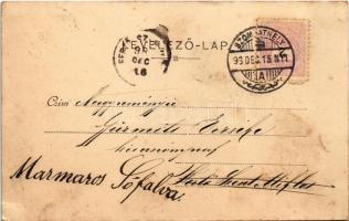 1898 (Vorläufer) Szombathely, Bagolyvár. Apfel H.C. (fl)