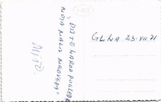 1971 Glina, Restaurant Jelen / Medve idomár medvével a Jelen étterem előtt, automobil / bear tamer w...