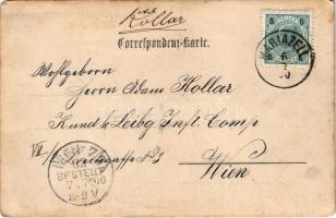 1900 Mariazell (Steiermark), Votivbild beim Todten Weib / pilgrimage site. N. Kuss photo (EM)