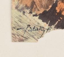 vitéz Pataky Ferenc (1897-?): Őszi táj. Akvarell, papír. Jelzett. Sérült. Kartonra kasírozva. 28,5x4...