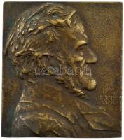 Ausztria ~1910. Richard Wagner egyoldalas bronz plakett, Szign.:Franz Stiasny (63x55mm) T:1- Austria ~1910. Richard Wagner one-sided bronze plaque, Sign.: Franz Stiasny (63x55mm) C:AU