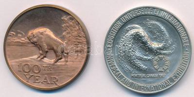 Kanada 1967. "Ember és világa" kétoldalas fém emlékérem (38mm) + Kanada 1970. "Manito...