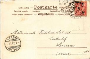 1902 Art Nouveau lady. Floral, litho (EK)