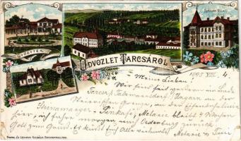 1895 (Vorläufer!!!) Tarcsa, Tarcsafürdő, Bad Tatzmannsdorf; Gyógytér, Mária villa, Karolina villa. Frankl és Ledofsky kiadása / spa, square, villas. Art Nouveau, floral, litho (szakadások / tears)