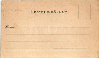 1895 (Vorläufer!!!) Tarcsa, Tarcsafürdő, Bad Tatzmannsdorf; Gyógytér, Mária villa, Karolina villa. F...