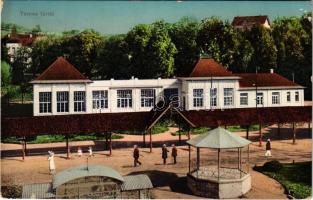 1912 Tarcsa, Tarcsafürdő, Bad Tatzmannsdorf; Gyógytér részlet, nyaraló / Kurpark / spa park, villa (kis szakadás / small tear)