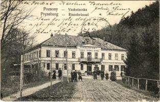 1900 Pozsony, Pressburg, Bratislava; Vaskutacska, Ferdinánd király vasfürdő, lovaskocsi. Neffe J. kiadása / Eisenbrünnel (Eisenbründl), König Ferdinand Eisenbad / Zelezná Studienka / spa, bathhouse, horse-drawn carriage (EK)