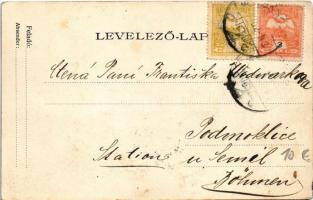 1900 Pozsony, Pressburg, Bratislava; Vaskutacska, Ferdinánd király vasfürdő, lovaskocsi. Neffe J. ki...