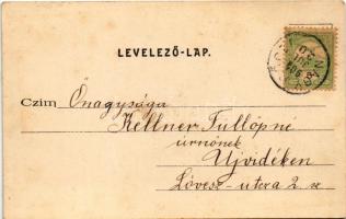 1904 Nagyrőce, Nagy-Rőcze, Gross-Rauschenbach, Velká Revúca; Nagyrőczei vasas gyógyfürdő. Büchler Bé...