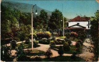 1913 Rozsnyó, Roznava; Vasas gyógyfürdő park / spa, bath, park (ragasztónyom / glue mark)