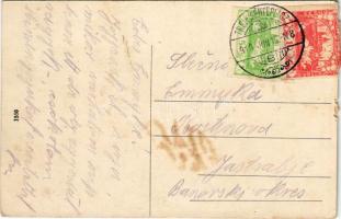 1919 Trencsénteplic, Trencianske Teplice; Villa Margit, Villa Dr. Heinrich / villas, spa (b)