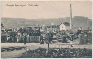 Perecseny, Perechyn, Perecin; MÁV Telítő telep, iparvasút. Bergida Hermánn kiadása / sawmill of the Hungarian State Railways, industrial railway (EB)