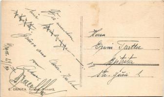 Orsova, Dunapart, vendéglő kertje / Splaiul Dunarii / Danube riverside, restaurant garden (fl)