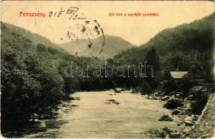 1915 Petrozsény, Petrosani; Zsil vize a szurduki szorosban. W.L. Bp. 1696. / Jiu river in the gorge (EK)