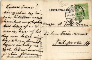 Lugos, Lugoj; Textilgyár. Schönberg Miksáné kiadása / textile factory (r)