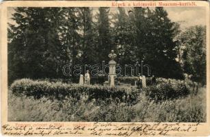 1909 Kolozsvár, Cluj; Múzeum kert, Fenyves csoport a Mikó szoborral / museum garden, statue, pinewood (Rb)