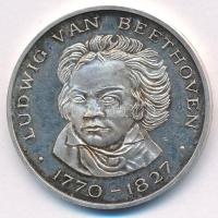 Svájc(?) 1970. Ludwig van Beethoven 1770-1827 / 200. évforduló 177. december 16. jelzett Ag emlékérem 0355 sorszámmal (15,09g/999/33mm) T:1- (eredetileg PP) patina Switzerland(?) 1970 LUDWIG VAN BEETHOVEN 1770-1827 / 200 GEBURSTAG 16. DEZEMBER 1770. marked Ag commemorative medallion with 0355 serial number (15,09g/999/33mm) T:AU (originally PP) patina