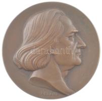 Berán Lajos (1883-1943) 1940. Liszt Ferenc / A Nemzeti Zenede centenáriuma emlékére - A Nemzeti Zenede Barátai Egyesület kétoldalas bronz emlékérem (78mm) T:1