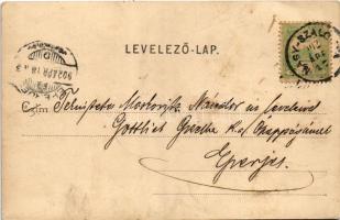 1902 Nagyszalonta, Salonta; Vasúti út, Czinczár Mór üzlete. Reich Jakab kiadása / street, shop (szak...