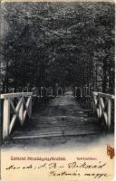 1913 Bikszád-gyógyfürdő, Baile Bixad; Gyertyánfasor. Divald Károly fia / promenade (EK)