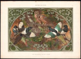 cca 1895-1905 Dekorative Vorbilder, össz. 3 db szecessziós (Jugendstil) madarakat (bagoly, daru stb.) ábrázoló nyomat, papír. 2 db Georg Sturm (1855-1923) akvarellje után. Lapméret: 25x35 cm