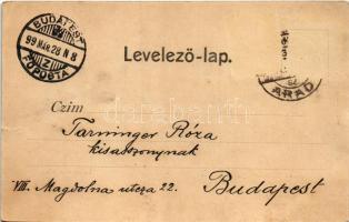 1899 (Vorläufer) Temesvár, Timisoara; Gyárváros I. Králicsek Béla kiadása / Fabric (szakadás / tear)