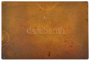 Berán Lajos (1883-1943) 1912. "Erkel Ferencz" egyoldalas bronz emlékplakett (53x80mm) T1- ...