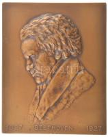 1927. Beethoven 1827-1927 négyszögletes bronz plakett. Szign: D. Morel (80x64mm) T:1 1927 Beethoven 1827-1927 rectangular bronze commemorative medallion. Sign: D.Morel (80x64mm) C:UNC