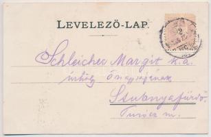 1898 (Vorläufer) Tátra, Magas-Tátra, Vysoké Tatry; Poprádi-tó, Majláth menedékház, zergék / Popper-S...