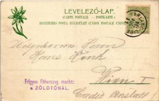 1905 Tátra, Magas-Tátra, Vysoké Tatry; Zöld-tó, menedékház. Feitzinger Ede Nr. 792. Ps. 1904-14. / G...