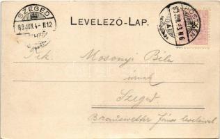 1899 (Vorläufer) Temetvény, Hrádok (Pöstyén, Piestany); Temetvény vár. A. Bernas kiadáa / Hrad Temat...