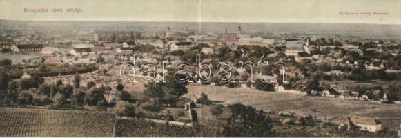 Beregszász panorama card