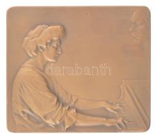 Ausztria 1909. Adagio / Beethoven egyoldalas bronz plakett (70x80mm) Szign.: Stefan Schwartz (1851-1924) T:1 Austria 1909. Agaio - Beethoven one sided bronze plaque (70x80mm) Sign.: ST. SCHWARTZ C:UNC