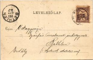 1901 Nagyszalonta, Salonta; Főszolgabírói lak és hivatal. Reich Jakab kiadása / judge's office ...