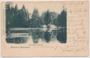 1902 Zabola, Zabala; Gróf Mikes kastély. Bogdán F. fényképész felvétele / castle, park (EK)
