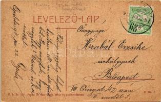 1911 Csanádpalota, Erzsébet tér, Községháza, Millennium szálloda, mészárszék, hentes. W.L. Bp. 5441....