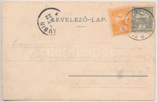 1901 Révfülöp, látkép, kikötő, "KELÉN" gőzös, gőzhajó, Schwarcz József üzlete és saját kia...