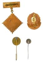 Románia, Magyarország ~1980-1990. 4 darabos egészségügyi témájú zománcos és műgyantás fém jelvény té...