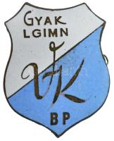 ~1950-1960. "Varga Katalin Gyakorló Leánygimnázium Bp." zománcozott iskolajelvény T:2